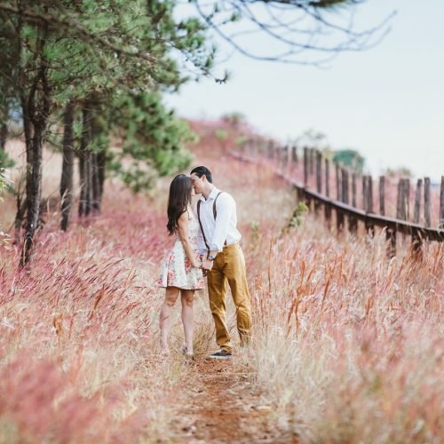 couple, kiss, field-1779066.jpg